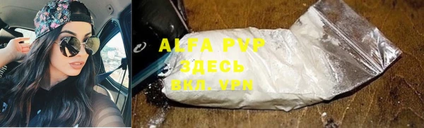 эйфоретик Вяземский