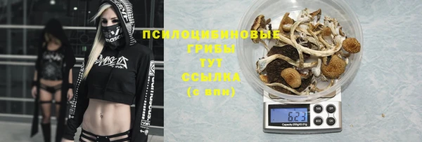 эйфоретик Вяземский