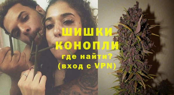 эйфоретик Вяземский