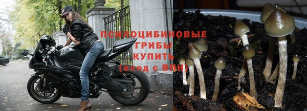 эйфоретик Вяземский