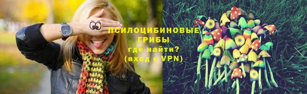 эйфоретик Вяземский