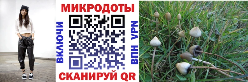 Галлюциногенные грибы Psilocybe  OMG рабочий сайт  Железногорск 
